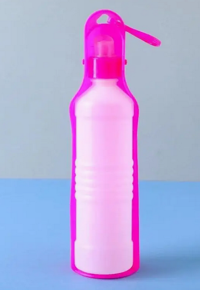 Portable Water Bottle