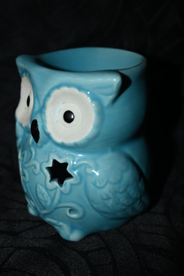 Brûle Parfum Hiboux Bleu avec Étoile – Fondants Parfumés, Ambiance Cosy et Zen