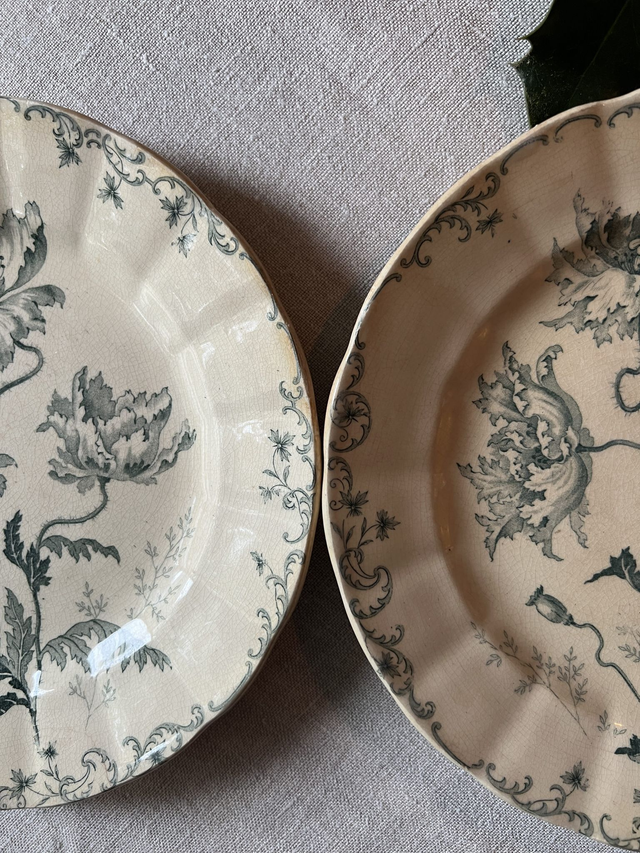 PAVOTS - Duo d'assiettes à dessert modèle Pavots par la manufacture française de Choisy le Roi - Terre de Fer