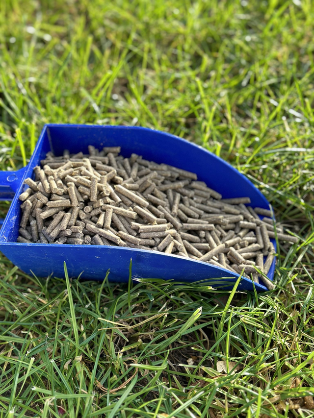 Pferde Pellet Heikra Aktiv E