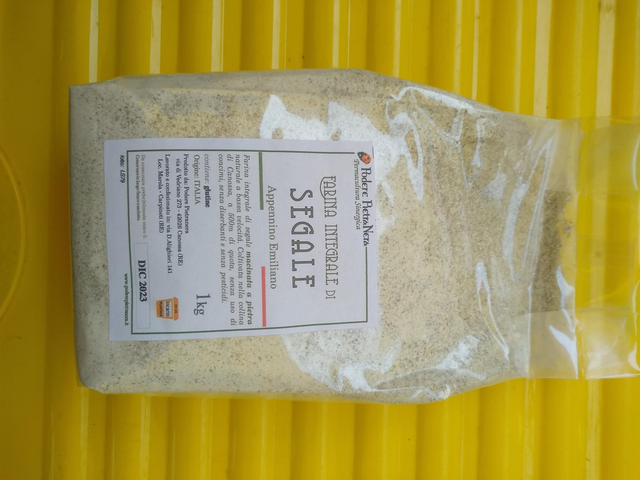 Farina Integrale di Segale