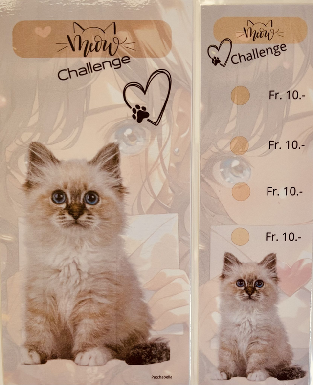 Miaou 8