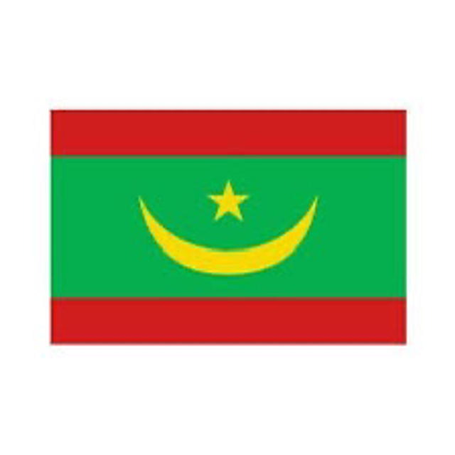 Grand drapeau MAURITANIE 90X150cm