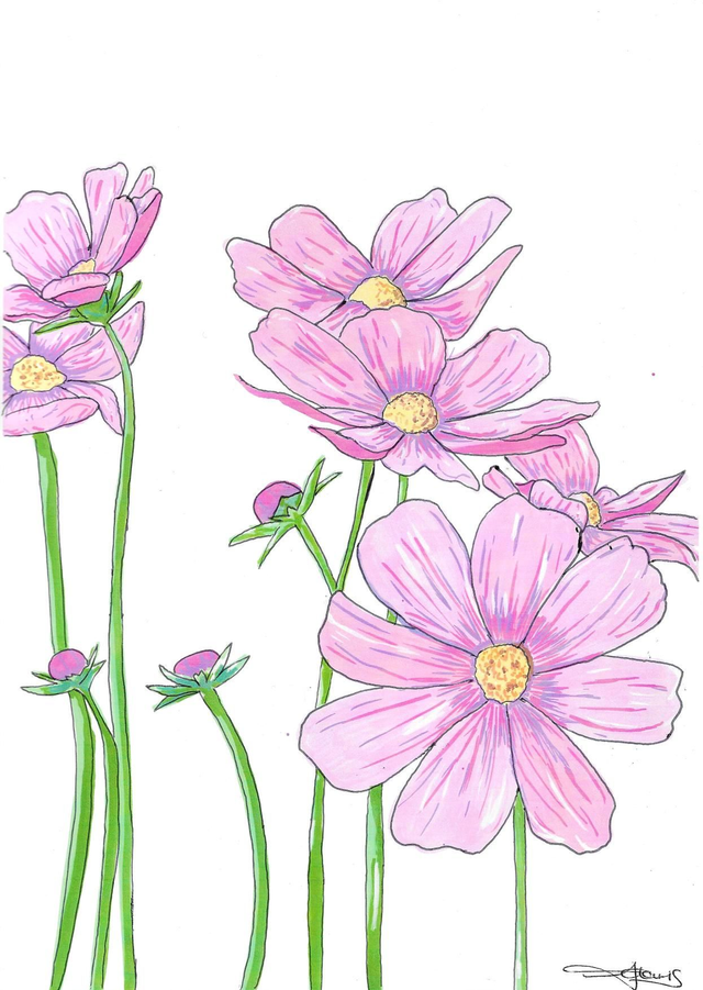 A4 print - The cosmos