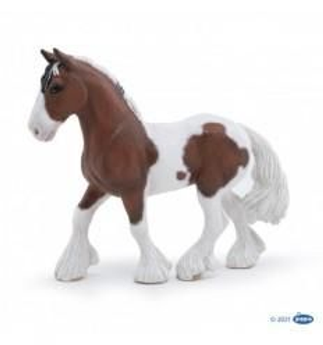 Jument Tinker

Chevaux, poulains et poneys
51570
