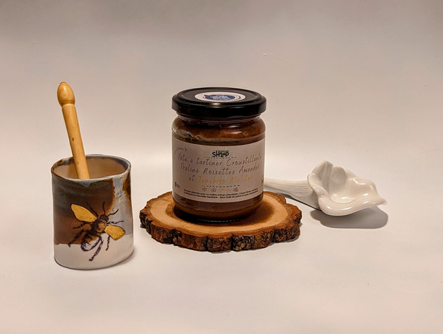 Chocolat - Pâte à tartiner croustillante au praliné et Ténébrion Molitor – 200g