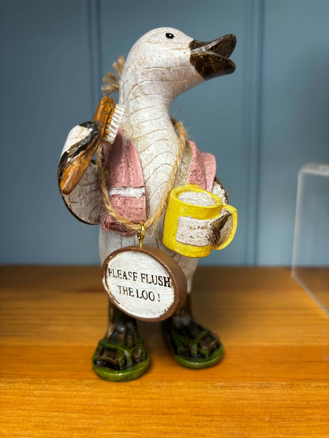 Quirky Resin Duck Ornament with Funny Wooden Sign | Novelty Bathroom & Home Gift