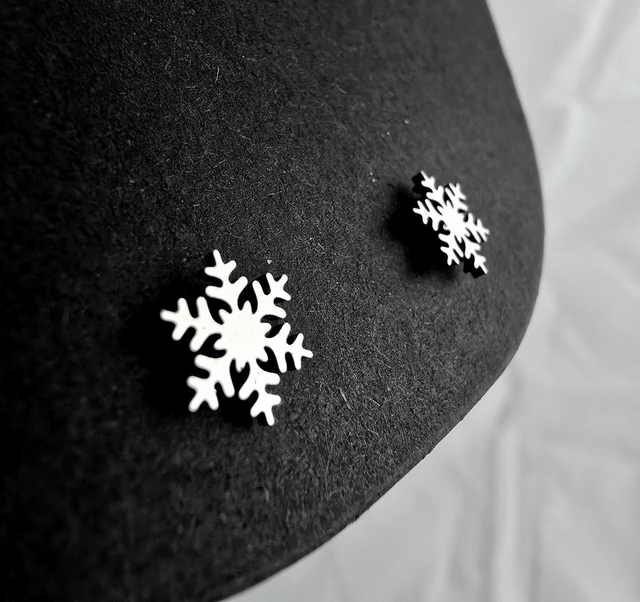 Clous d'oreilles "Flocons" en acier inoxydable argenté (la paire)