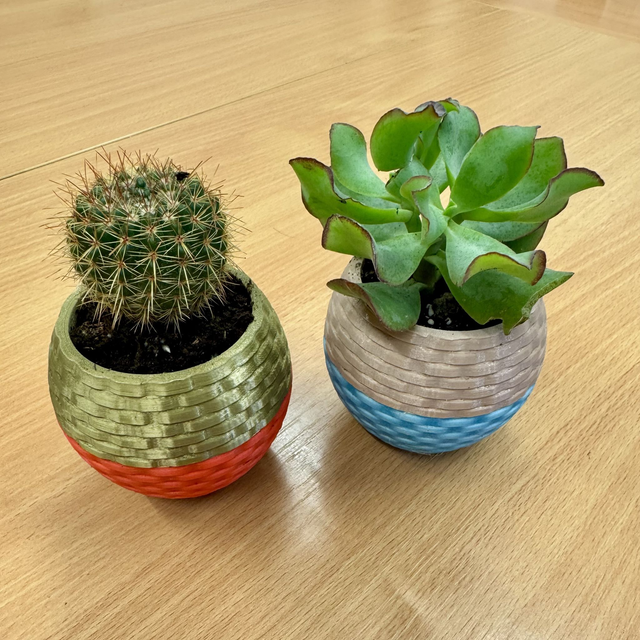 Cacti and Succulents in planters **made by The Chislehurst Society**