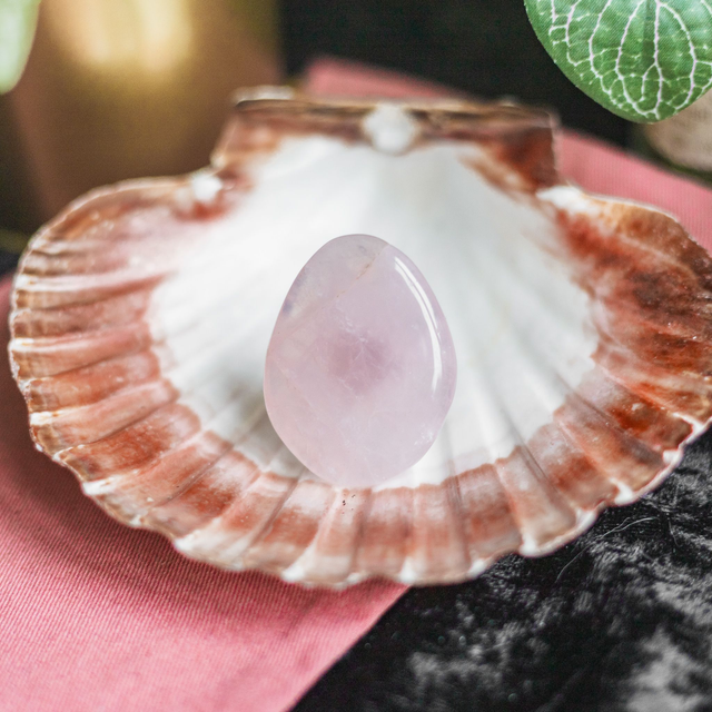 Rose Quartz Car Vent Clip Disc