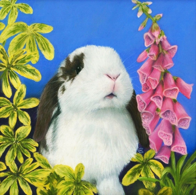 Greeting Card 'HAYLEY' (Konijnenparadijs)