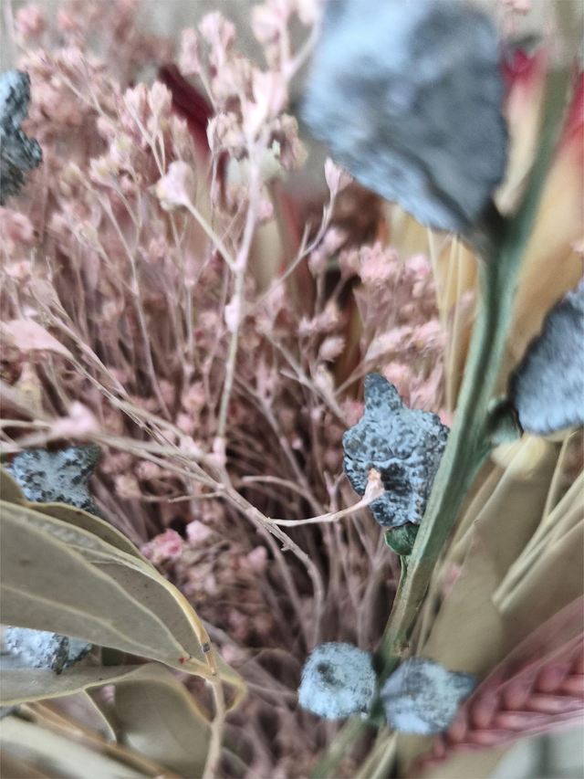 MEGLEPETÉS kis csokor