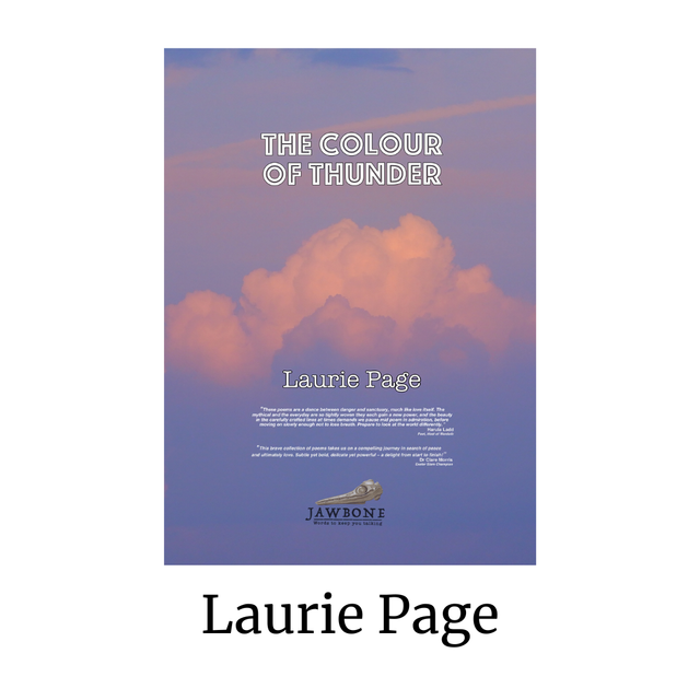 The Colour of Thunder - Laurie Page