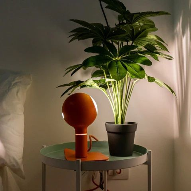 Filotto - Iride Magnetica