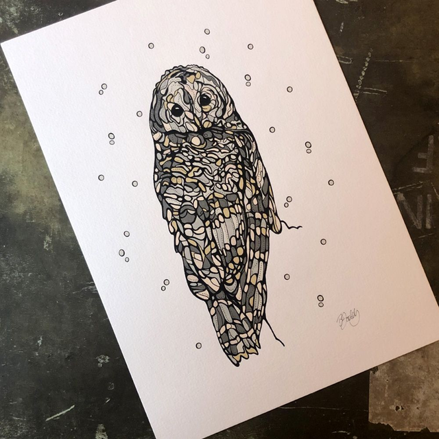 Hand-coloured owl print (1)