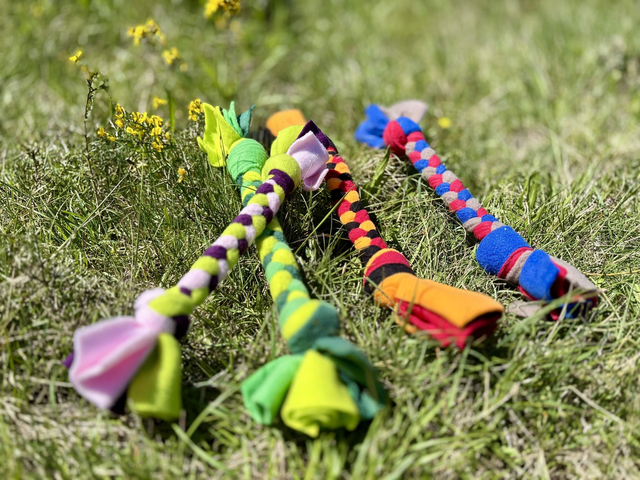 Petite tresse pour chien - Jouet d'interaction