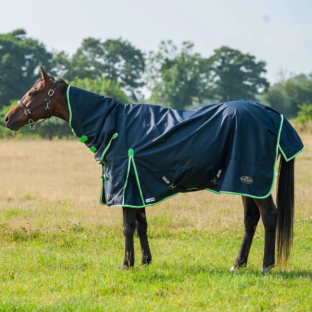 Gallop 0g Duraproof Combo Turnout Rug Navy/Green