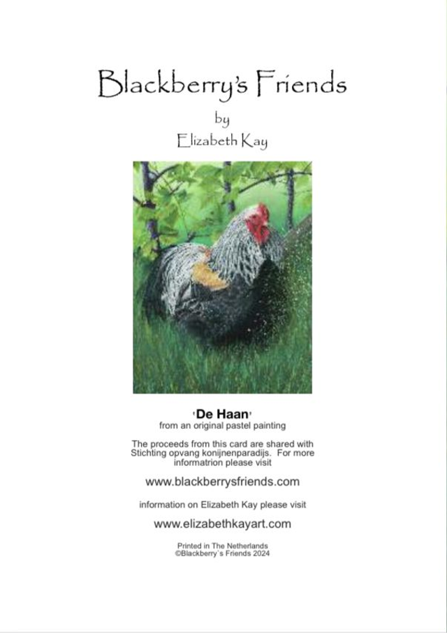 Greeting Card 'DE HAAN' (Konijnenparadijs)
