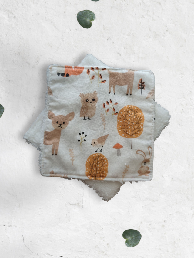 Lot de 5 lingettes