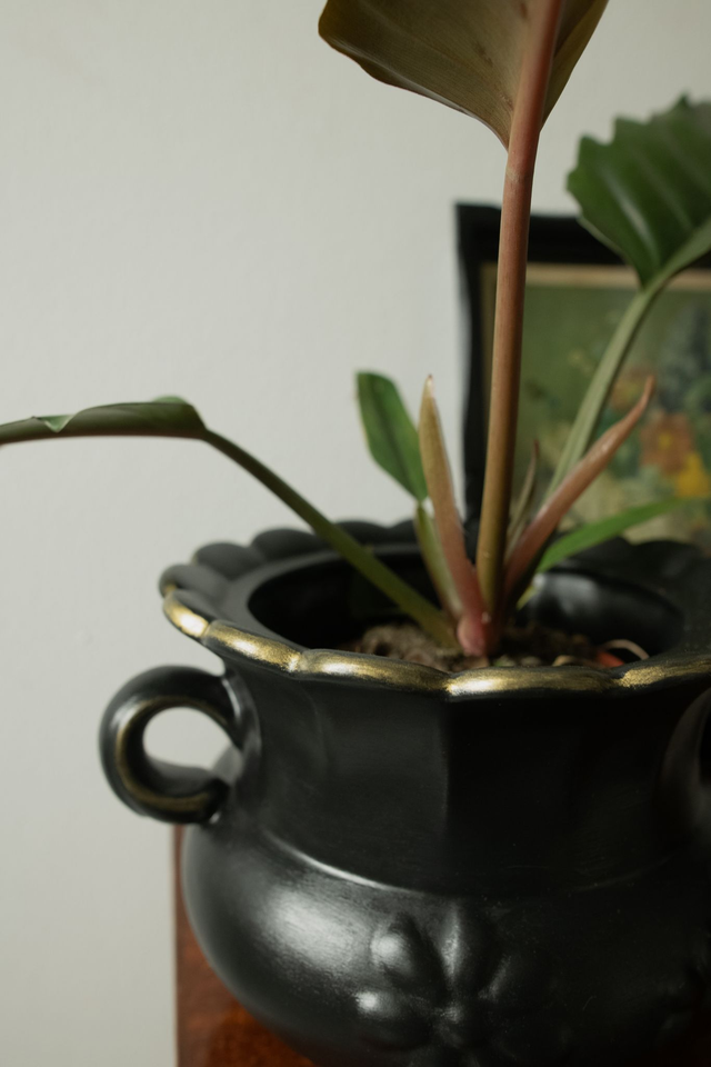 Botanical Witch 🌒 Cache-pot upcyclé