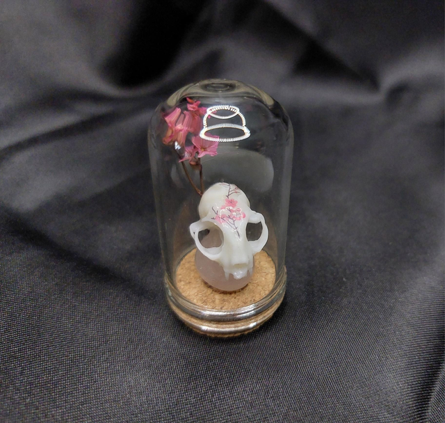 Mini-cloche chat sakura
