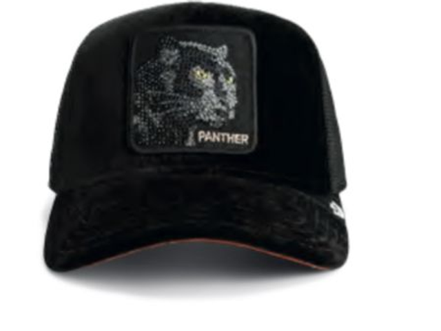 101-2305 Iced Panther Goorin Bros 