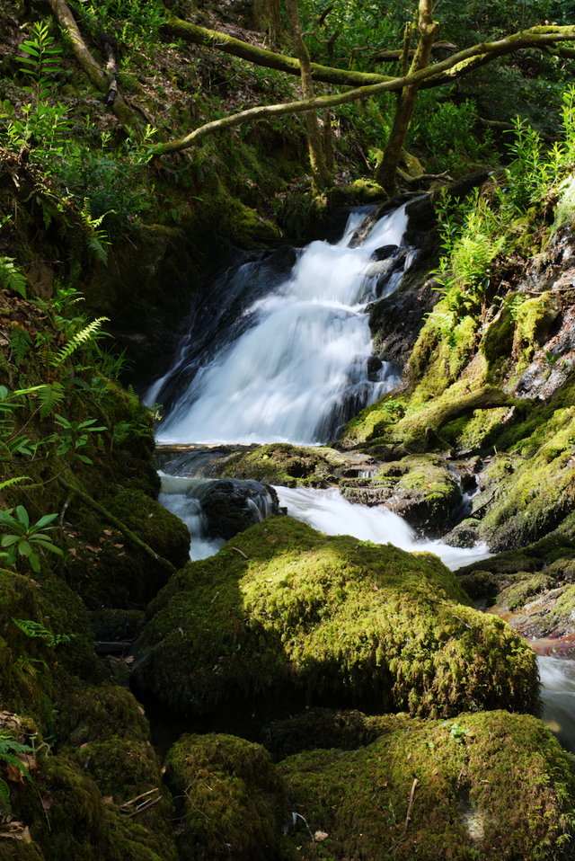 A4 Waterfall (Portrait) - Photoprint Unframed