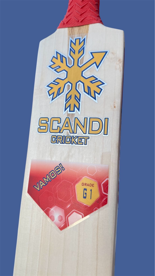 Vamos! Cricket Bat