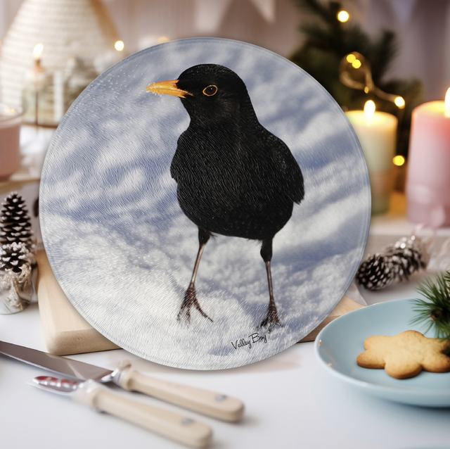 “Billy Blackbird” Round Worktop Saver  