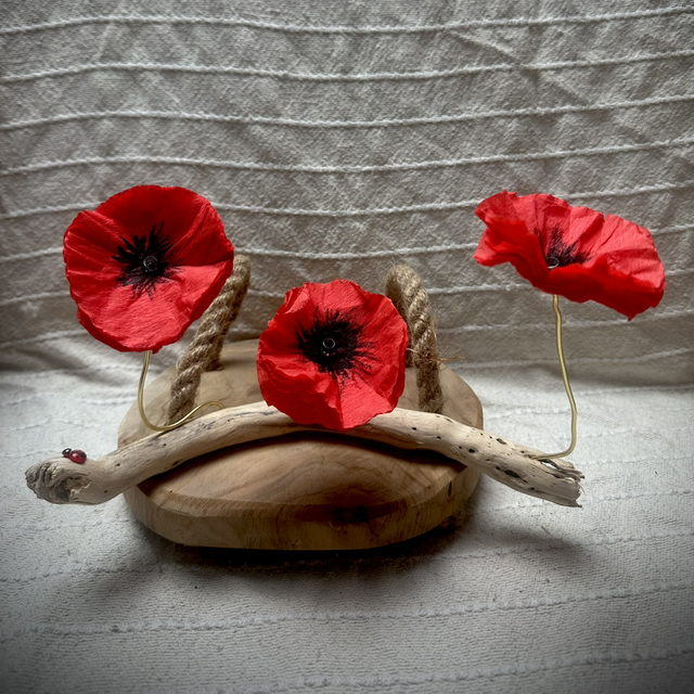 Trio de coquelicots 