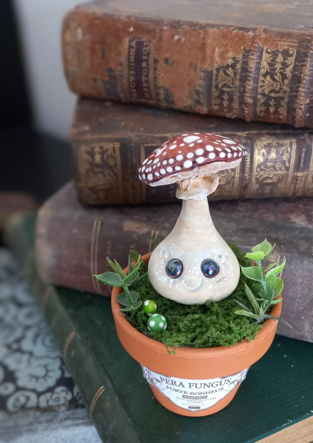 Champignon Fera Fungus