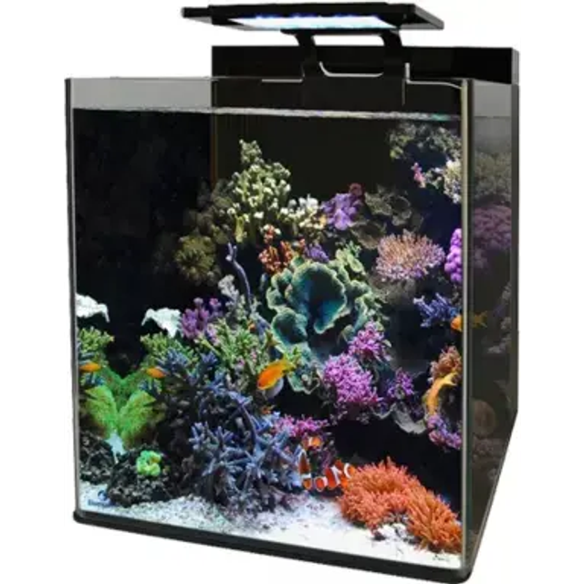 BM REEF 60 AQUARIUM 8715897273438