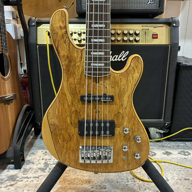 Cort GB95 5 String Bass with Hiscox Case