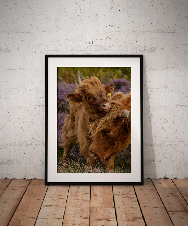 Unbreakable Bond, Peak District