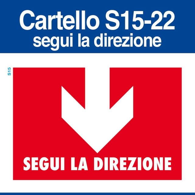 S15-Segui la Direzione