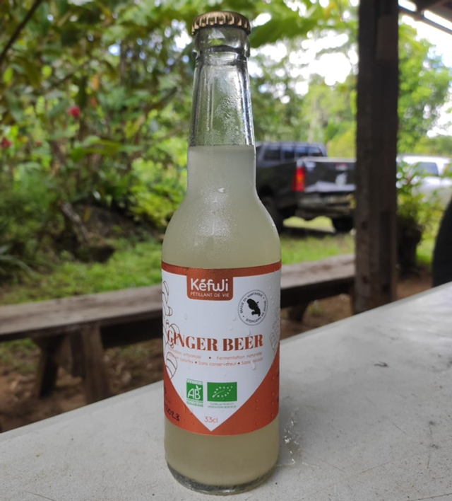 Ginger beer bio 33 cl