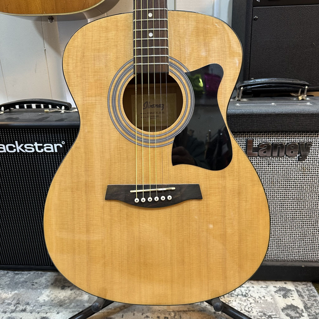 Ibanez VC50N with Bag