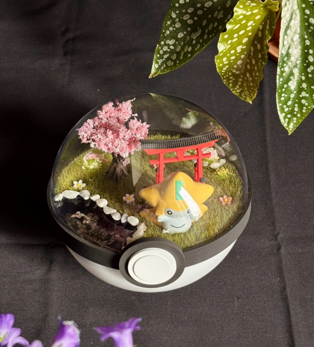 🌸 Terrarium Pokémon - Édition Japon -  Jirachi