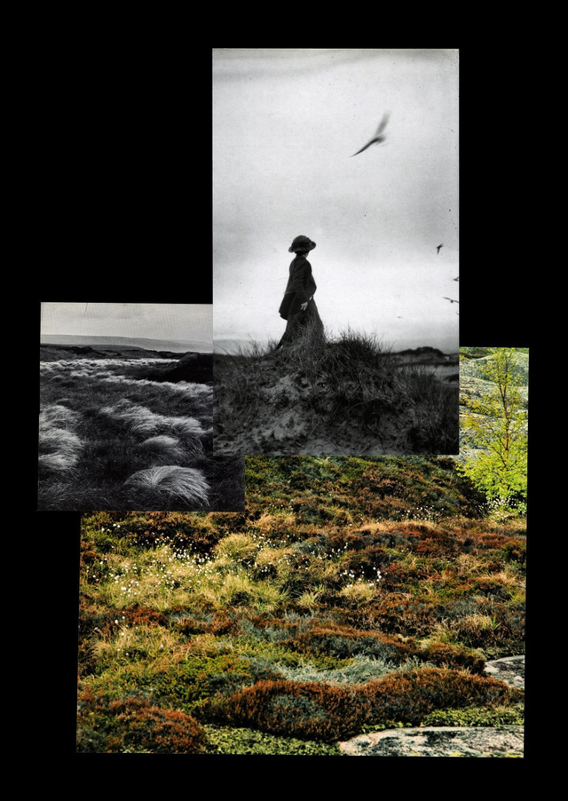'The moor' collage