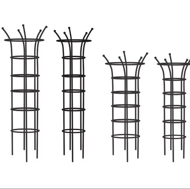 Open Top Rose Cage 12mm Steel