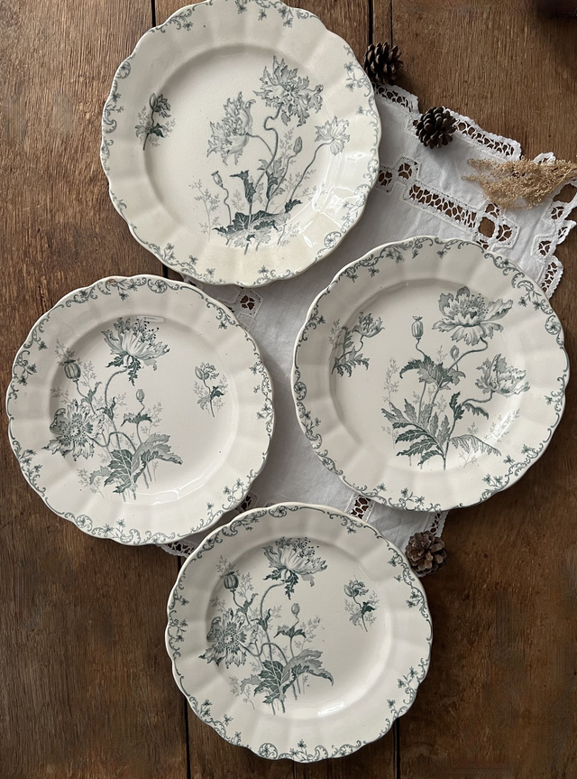 PAVOTS GRIS-VERT - Suite de 4 assiettes plates modèle Pavots par la manufacture française Choisy le Roi (H. Boulenger) - Terre de Fer