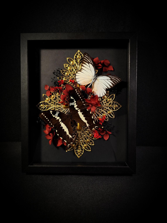 Cadre Duo de Papillons 