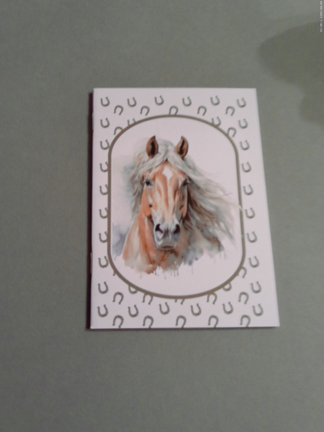 Carnet de note Palomino