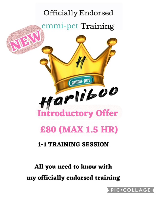 1-1 Live Training (DN5 Area)