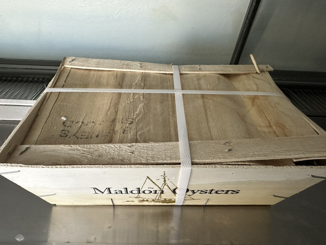 Box 25 Oysters