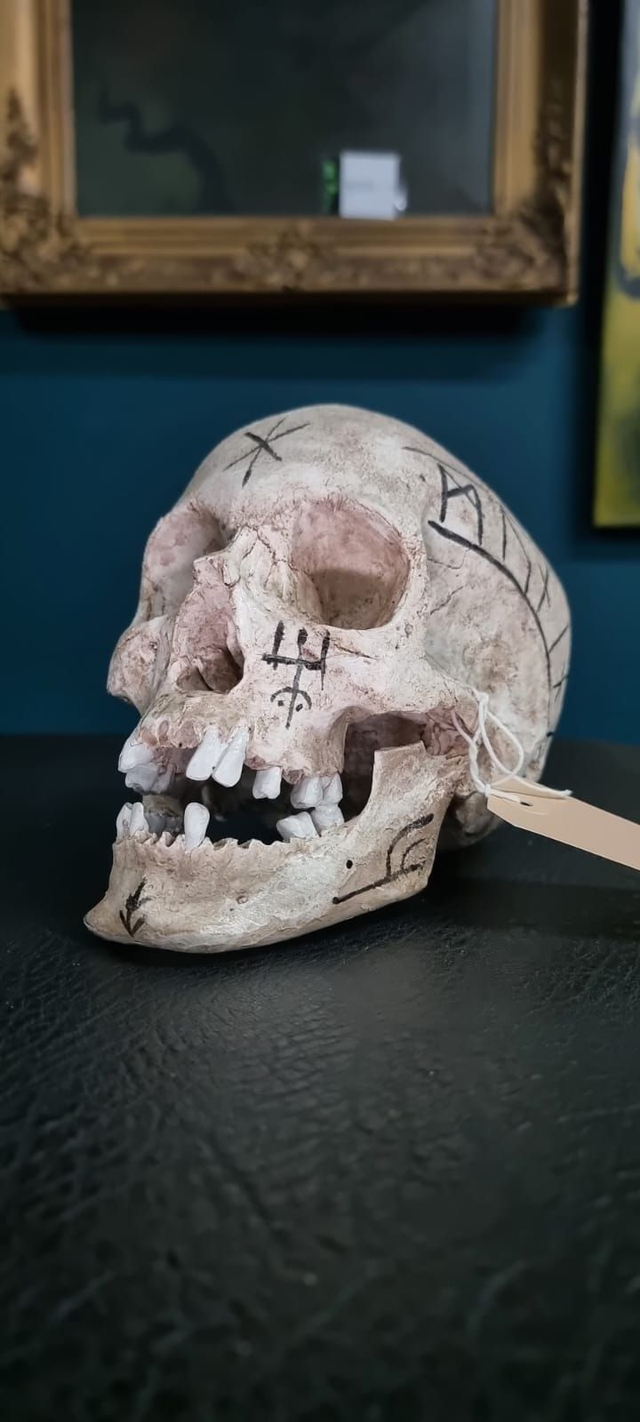 Schädelreplikat, lebensgross, Eigenpruduktion, 100% Handarbeit