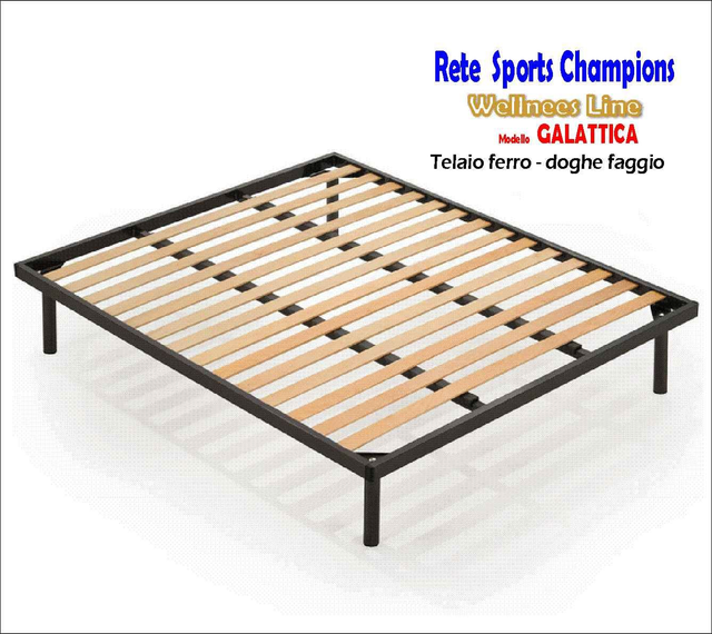 Rete doghe Fissa GALATTICA Champion 