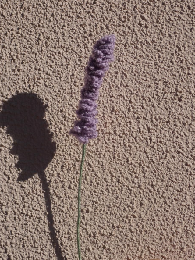 Lavande violette pailleté 