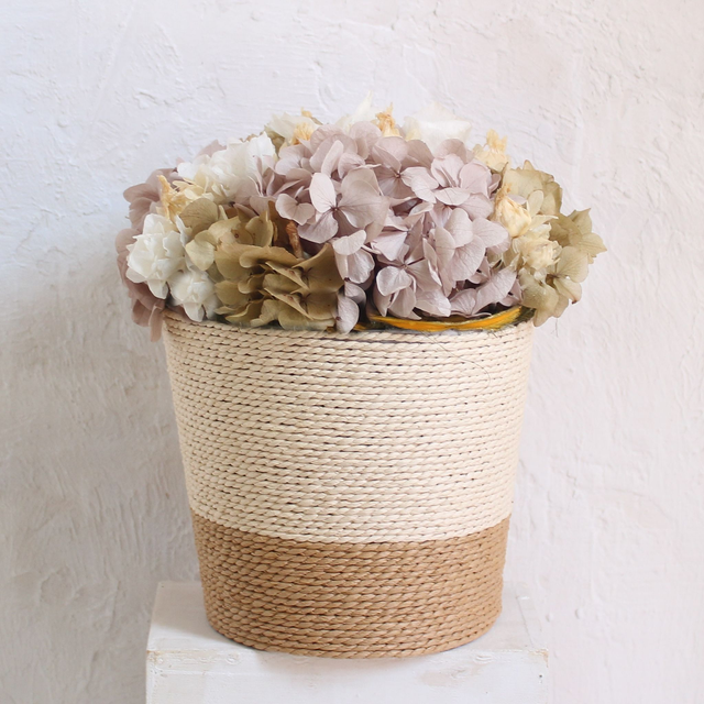 A.HORTENSIAS PRESERVADAS-CL279-CON ROSA.