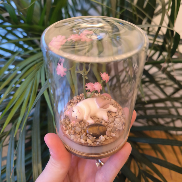 Ami protecteur - Chat couché blanc et brun (oeil de tigre)